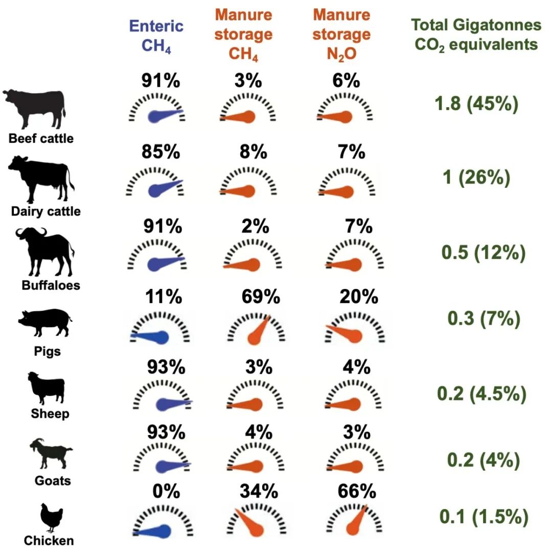 Figure 2: Greenhouse-gas emissions from different livestock