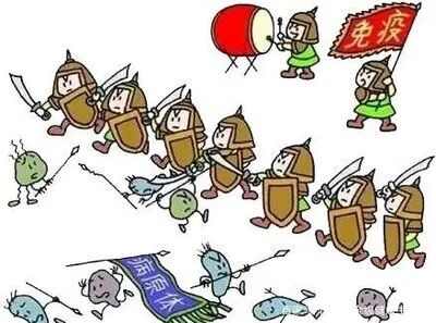 图9:人体免疫系统