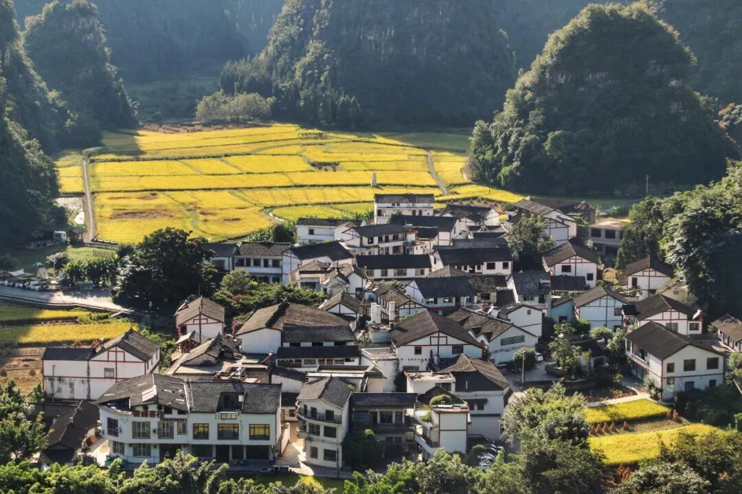 图5:回到家乡未尝不是一个好选择