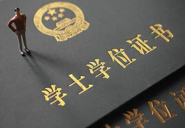 图3:本科学历同样很重要