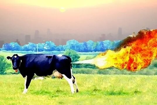Figure 4: A misleading depiction of cattle greenhouse-gas emissions