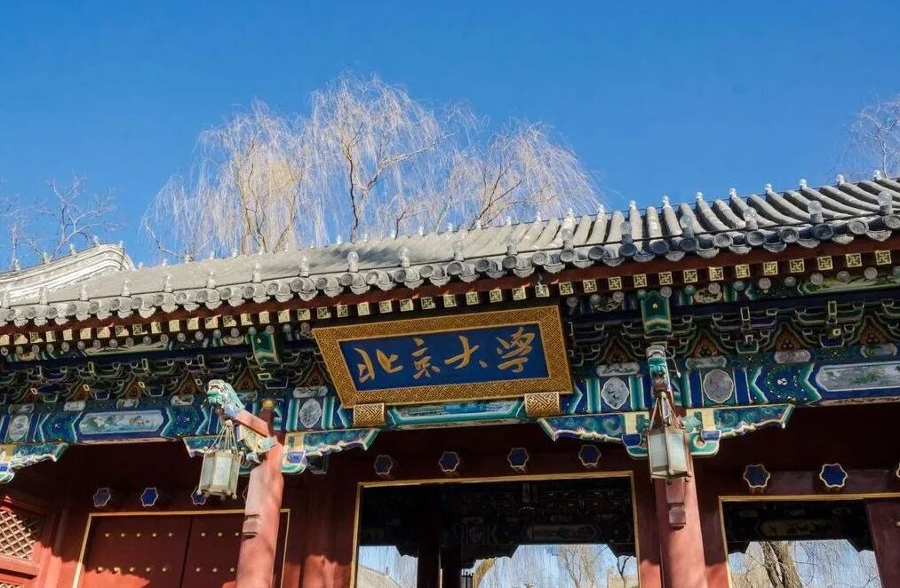 Figure 6. Peking University.