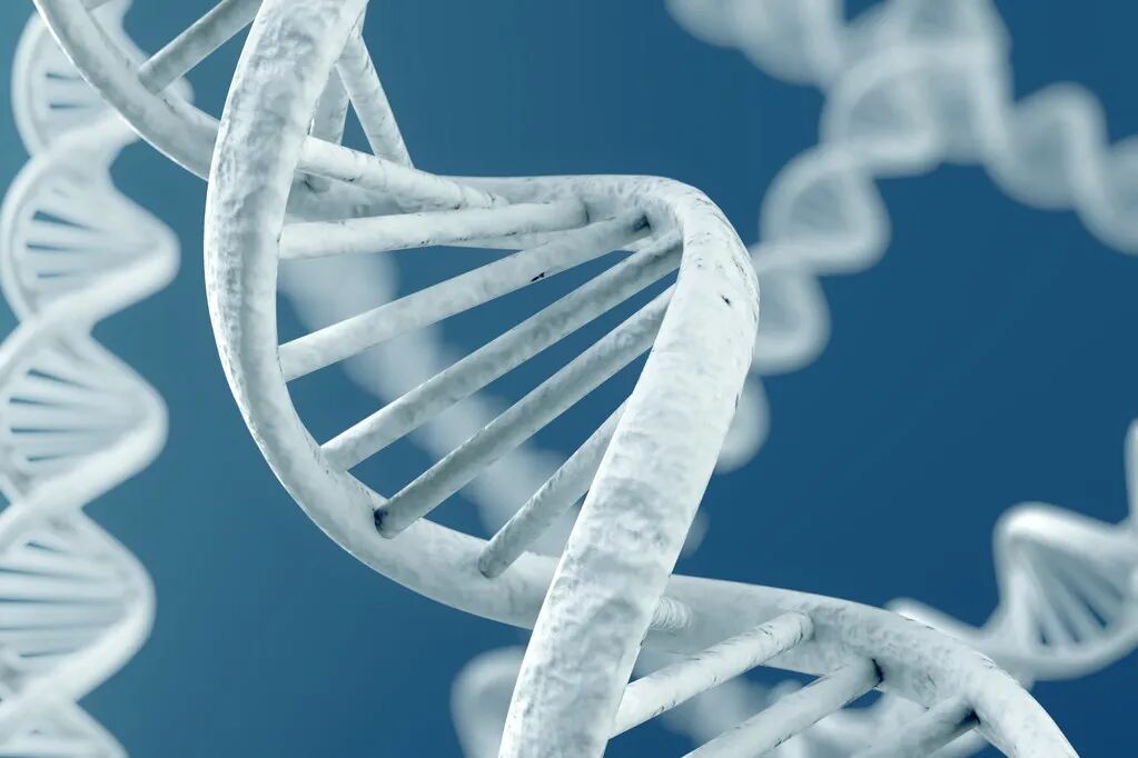 图9:螺旋结构的DNA