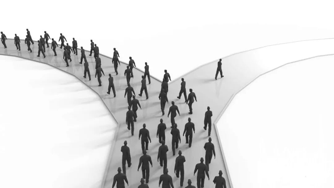 图13:博士做科研的思路越发开阔