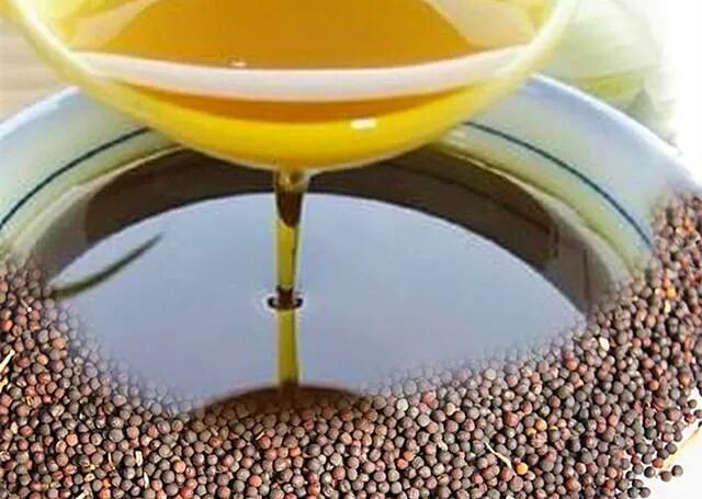 Figure 3: Canola oil