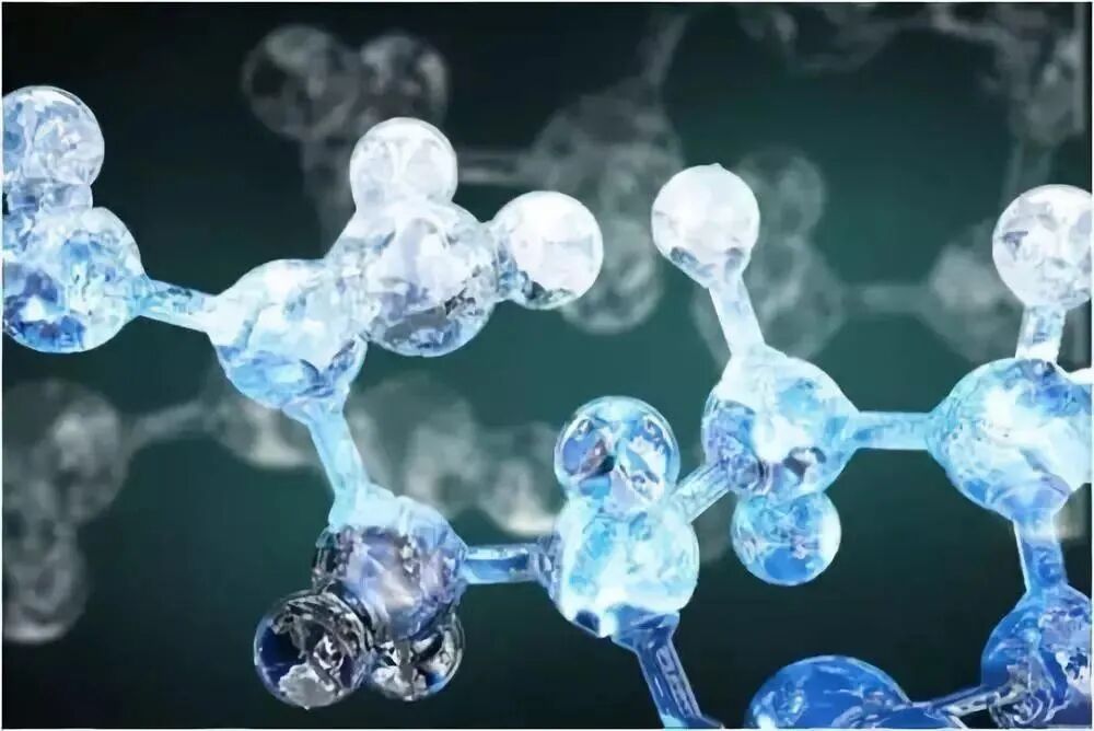 图5:生物活性肽结构