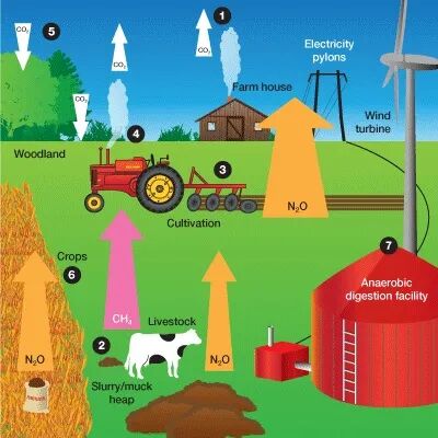 Figure 3: Greenhouse-gas emissions from cattle farming; arrow size indicates quantity