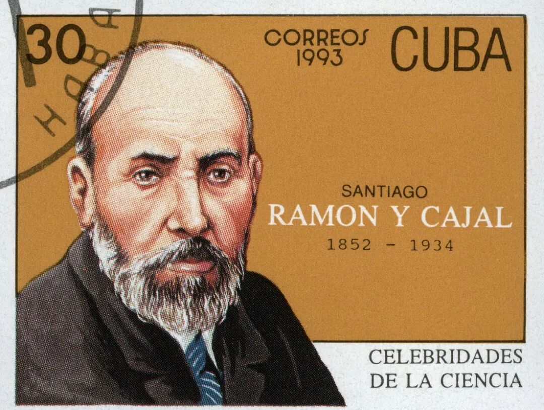 Figure 4: Santiago Ramón y Cajal
