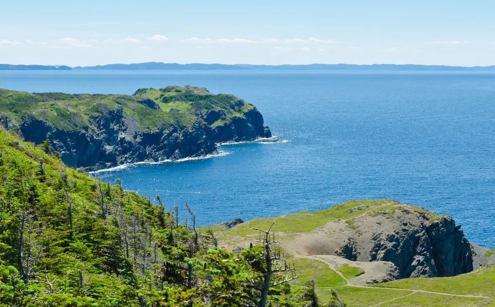 Figure 1: Newfoundland