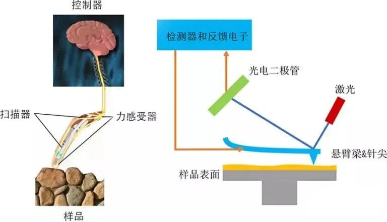2020岁末大盘点-看文末彩蛋呀!