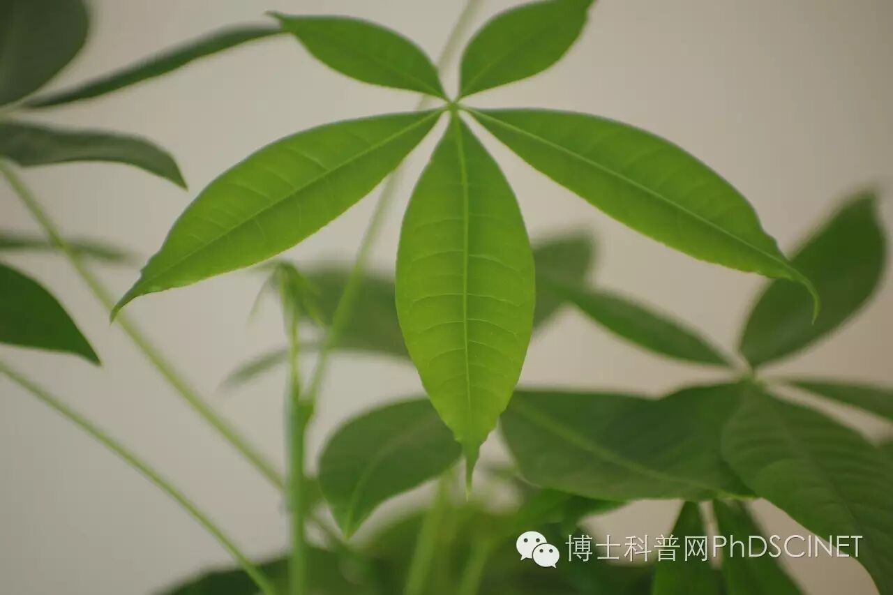 团队成立初衷