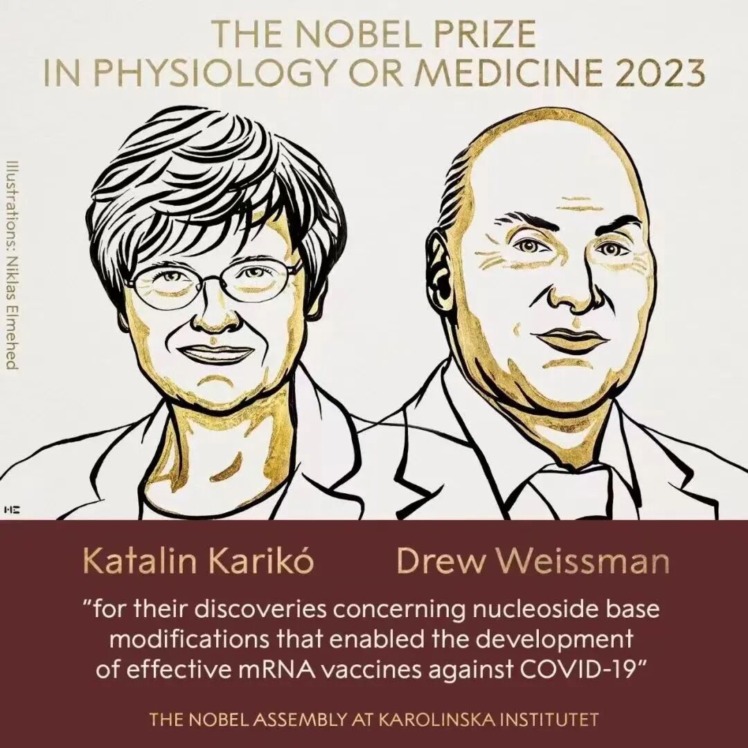 Figure 5: Recipients of the 2023 Nobel Prize in Physiology or Medicine