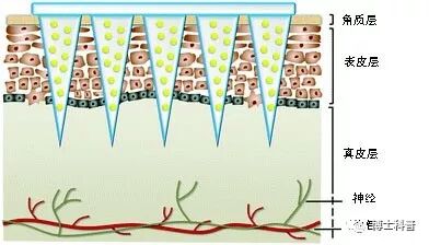 Figure 2: Schematic of drug transport through the skin using microneedles.