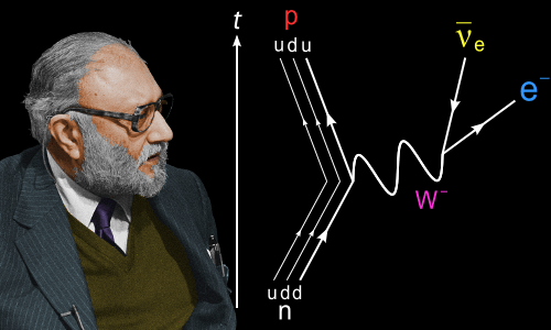 Figure 1: Abdus Salam