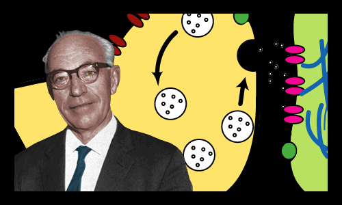 Figure 1: Sir John Eccles