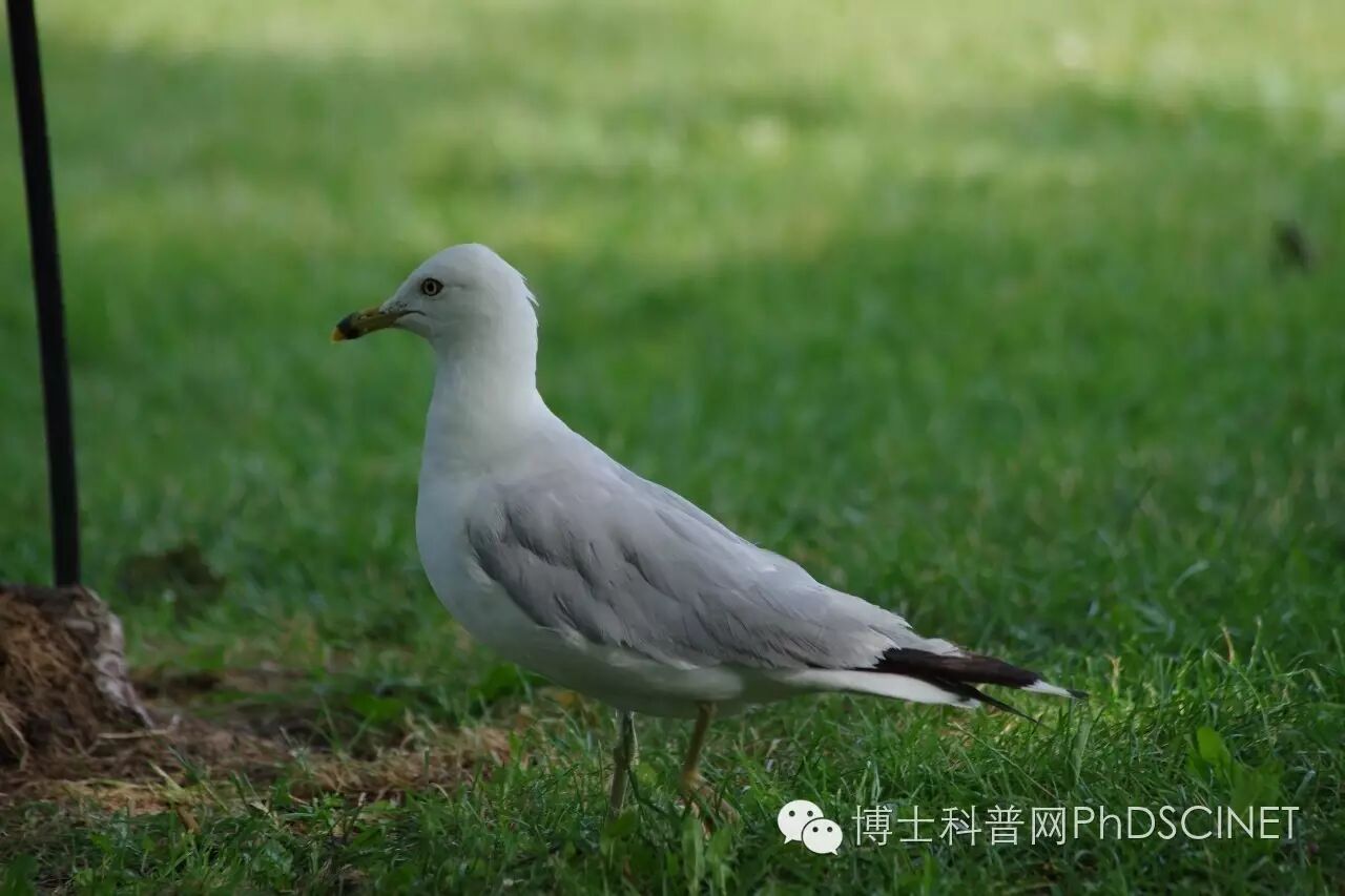 团队成立初衷