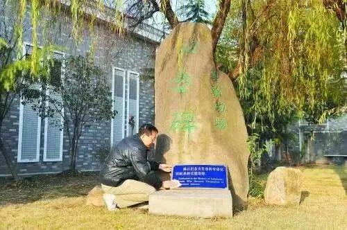 图8:上海生命科学研究院的实验动物纪念碑