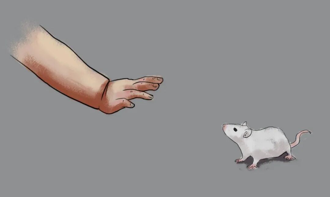 图2:尊重动物,感恩奉献