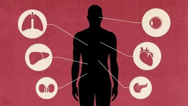 图13:生物3D打印技术