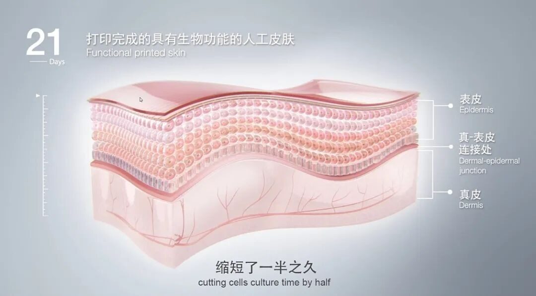 图3:生物3D皮肤打印技术