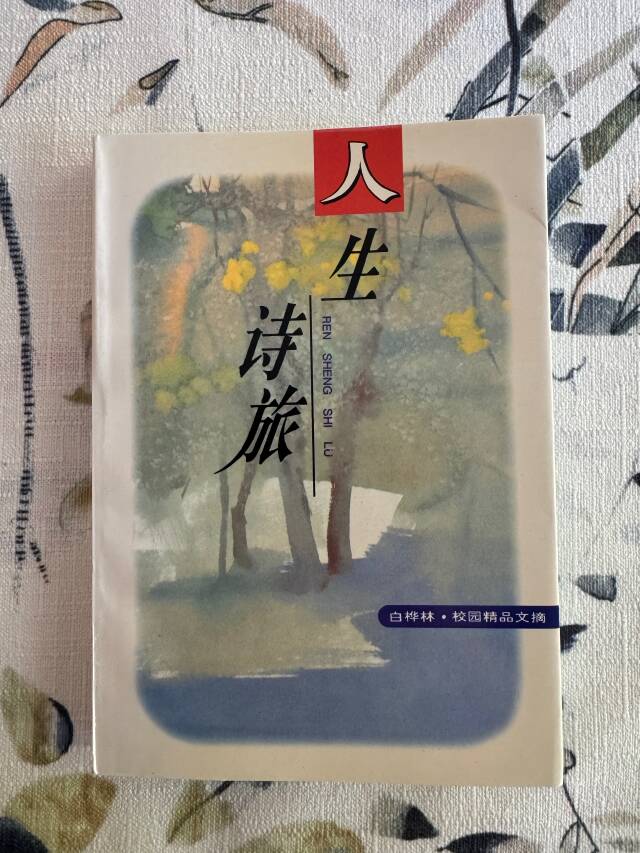 八年没回家,他今天终于登上了回国的航班——送别一位离开加拿大的博士朋友