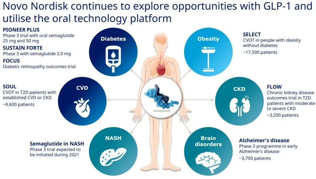 Figure 15. Novo Nordisk’s GLP-1 development plan.