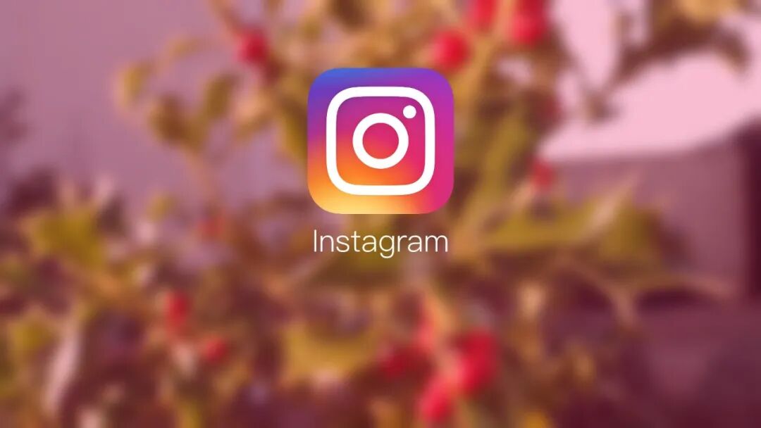 图13:Instagram社交媒体