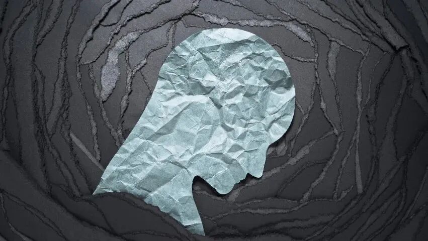图8:抑郁相关脑部变化的研究